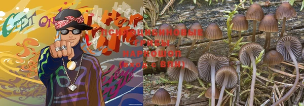 марки nbome Белокуриха
