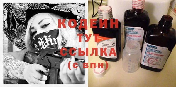 индика Сосновоборск