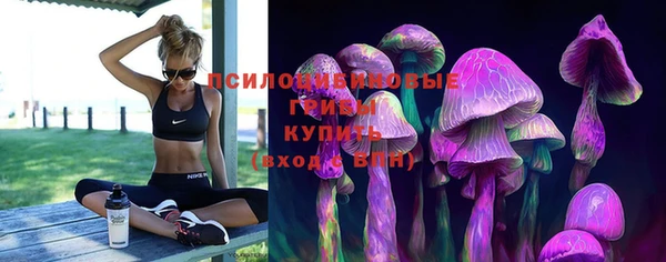 марки nbome Белокуриха