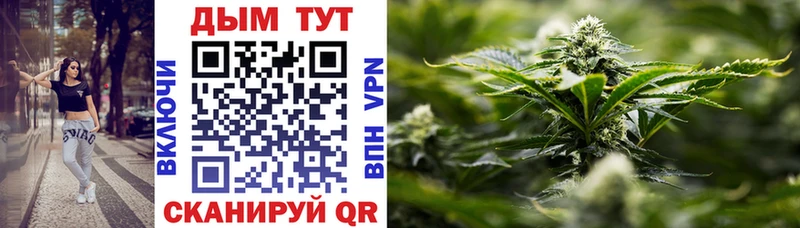Бошки Шишки THC 21%  Высоцк 